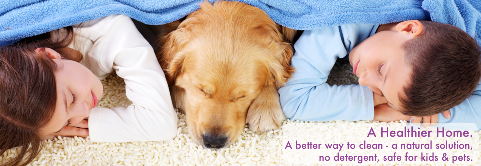 Carpet Cleaner